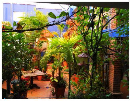 Suitel 522 Eco Hostel Мазатлан Екстер'єр фото